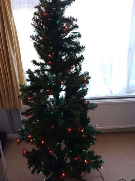 Photo of free Christmas Tree (Southgate RH10) #1
