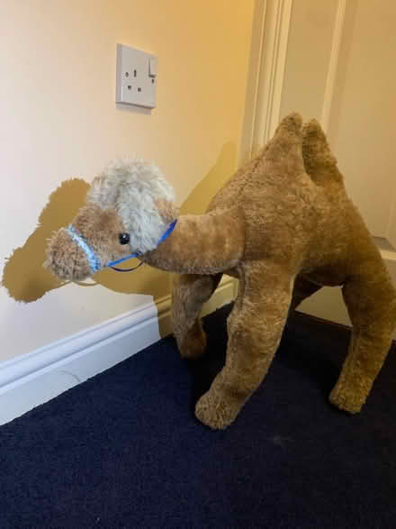 Photo of free Soft toy camel (Crook DL15) #2