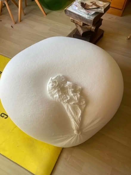 Photo of free Beans for a giant bean bag (SY1 Castlefields) #2