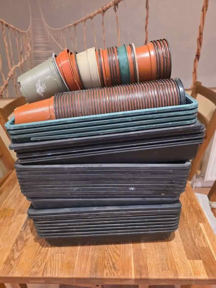 Photo of free Seed trays and plastic plant pots (Pevensey BN24) #1