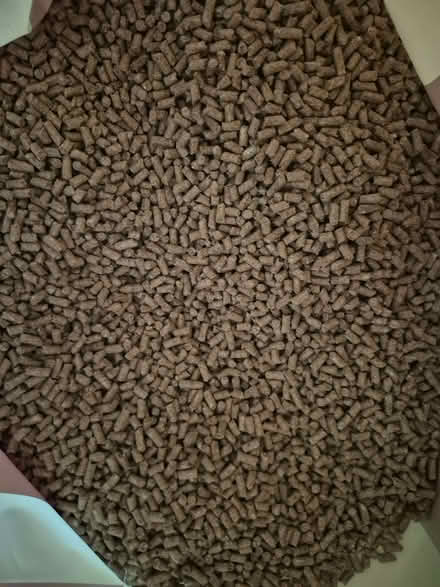 Photo of free Chicken Feed (Whittle Hill NE61) #4