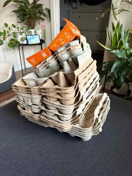 Photo of free Egg cartons (S12) #1