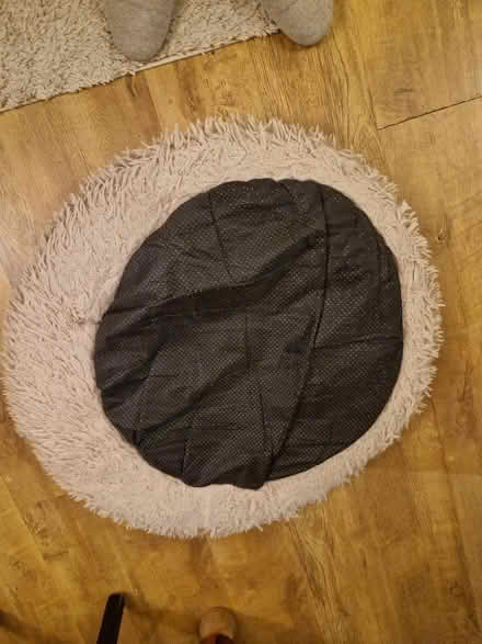 Photo of free Large donut pet bed (Up Hatherley GL51) #2