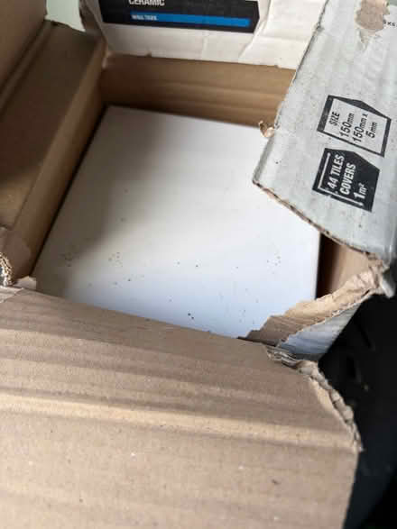 Photo of free White tiles wickes (Benton NE12) #1