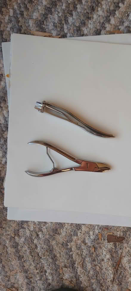 Photo of free Dog nail clippers (Ramsden Heath CM11) #1