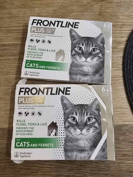 Photo of free 8x Frontline plus pipettes (NW9) #1