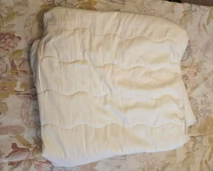 Photo of free Twin mattress pad (Wallingford) #1