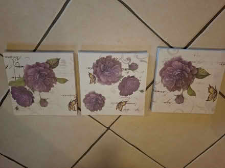 Photo of free Canvas style wall art x 3 (The Highlands TN39) #2