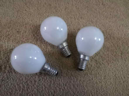 Photo of free Large and small screw bulbs (City Point DE24) #2