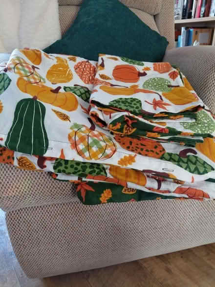 Photo of free Autumn /winter weight double duvet cover and pillow cases (Rowner PO13) #1