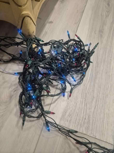 Photo of free Holiday Lights (Abington) #3