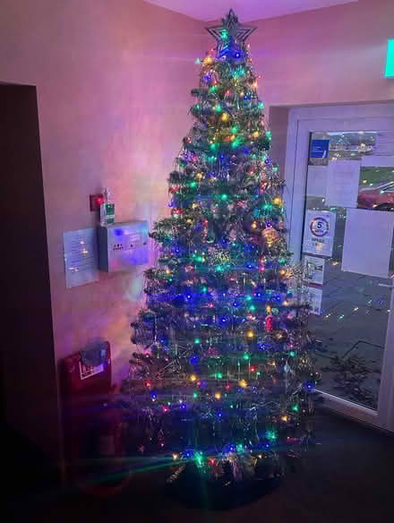 Photo of free Artificial Christmas Tree (Kirkby Stephen CA17) #1