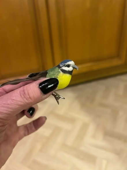 Photo of free Decorative birds (Funtley PO17) #3