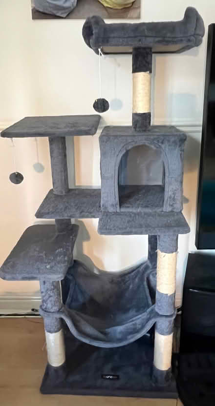 Photo of free Cat tree (Langney BN23) #1