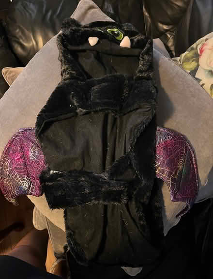 Photo of free Dog Halloween Costume (BR1) #2