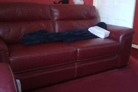 Photo of free Moving (Heald green SK8) #1