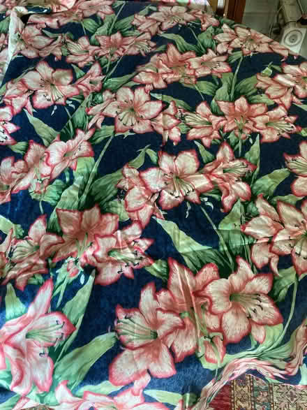 Photo of free 2 widths of curtain fabric (Broadwell GL56) #1