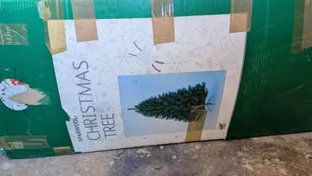 Photo of free 6ft Christmas Tree (Henbury) #1