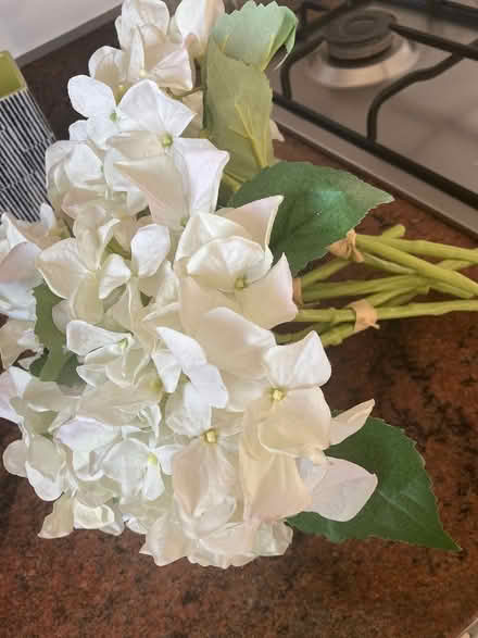 Photo of free 3 bunches of silk hydrangeas (HG2) #2