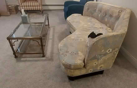 Photo of free Curved sofa and coffee table (Arlington MA) #3