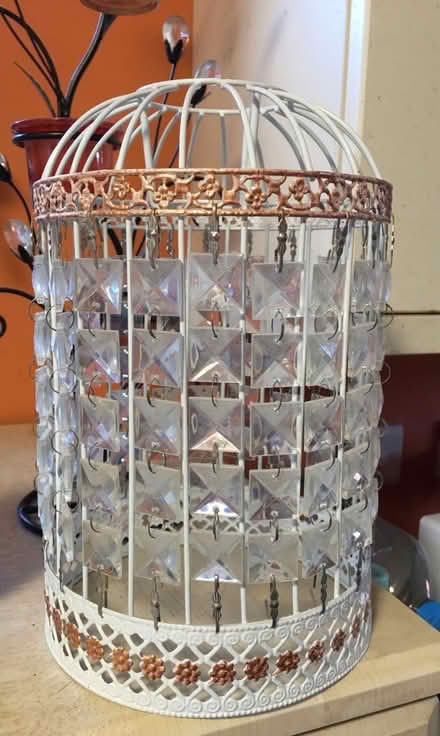 Photo of free White Lamp or ceiling light Shade (Liverpool L6) #1