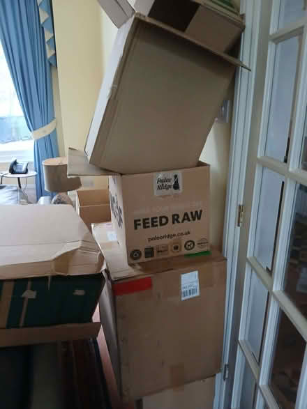 Photo of free Boxes (Ealing W5) #2