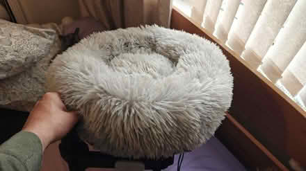 Photo of free Desk mounted cat bed (NE11) #1