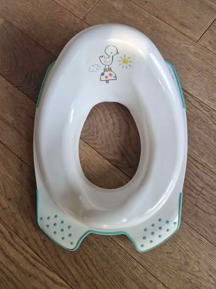 Photo of free Potty (Hollingbury BN1) #1