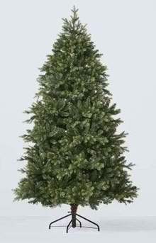 Photo of free Christmas tree 7ft (Welwyn Garden City AL8) #1