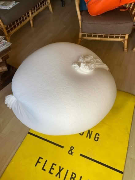 Photo of free Beans for a giant bean bag (SY1 Castlefields) #1