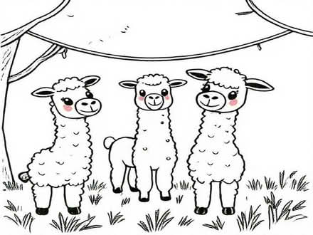 Photo of Colouramas/Photo backdrops (Highams Park E4) #1