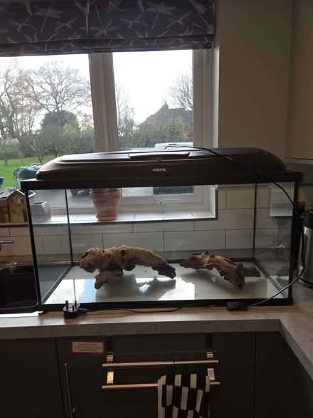 Photo of free Two Fish Tanks and Bogwood (Upper Dicker BN27) #2