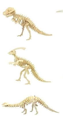 Photo of Fossils/Dinosaur stuff (Bedminster) #3