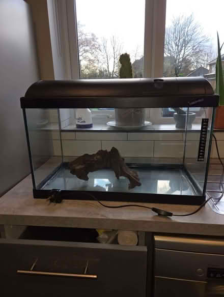 Photo of free Two Fish Tanks and Bogwood (Upper Dicker BN27) #1