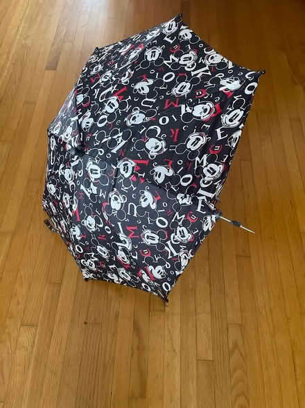 Photo of free Mickey Mouse umbrella (Beacon Hill) #2
