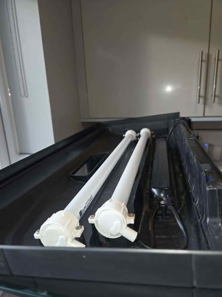 Photo of free Two Fish Tanks and Bogwood (Upper Dicker BN27) #4