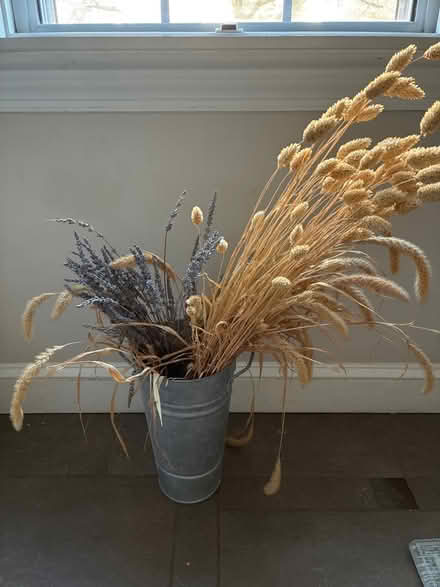 Photo of free Dried flowers with vase (Near Friendship Heights metro) #1