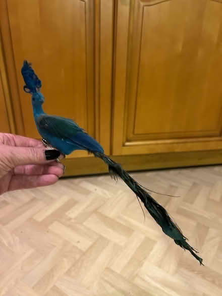 Photo of free Decorative birds (Funtley PO17) #2