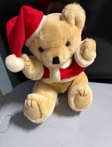 Photo of free Xmas teddy (Westbury Wilts BA13) #1
