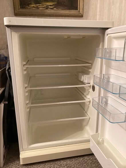 Photo of free Bosch Fridge (Cranbrook TN17) #2
