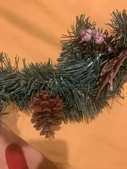 Photo of free Christmas decorations (M33 Sale) #3