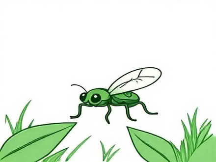 Photo of free Flea trap (Broadwater SG2) #1