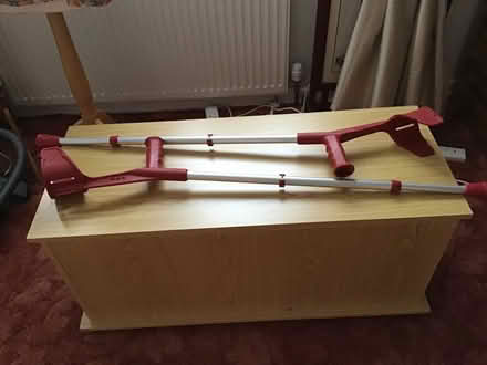Photo of free Elbow support walking sticks. (Fintry DD4) #2
