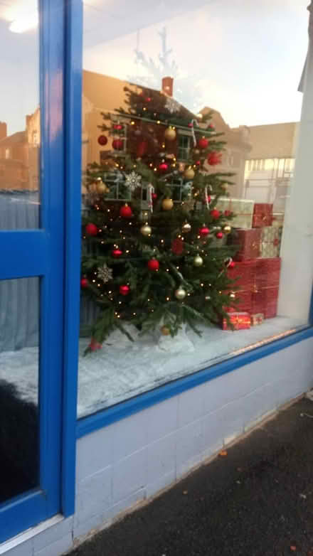 Photo of free 6ft Christmas tree (S42) #1