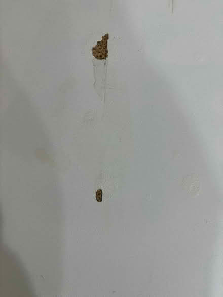 Photo of free White ikea 8-10 person extendable table (Disraeli HP13) #4