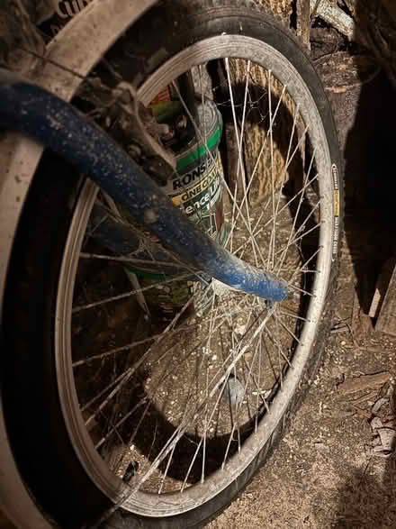 Photo of free Diamondback Sorrento bike (Freehold LA1) #3