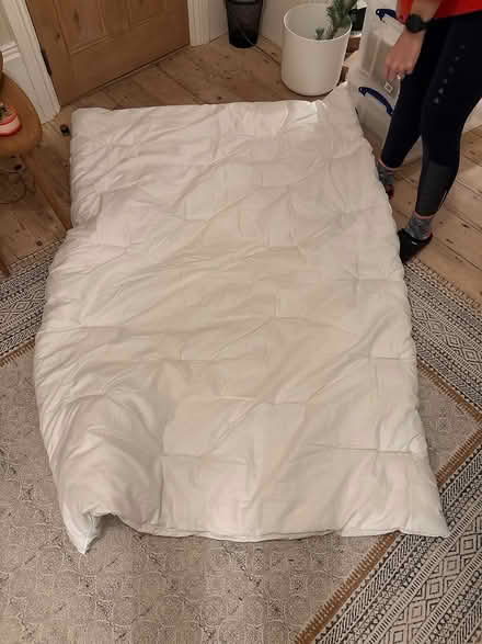 Photo of free Duvets (Finsbury Park, London, N4) #1