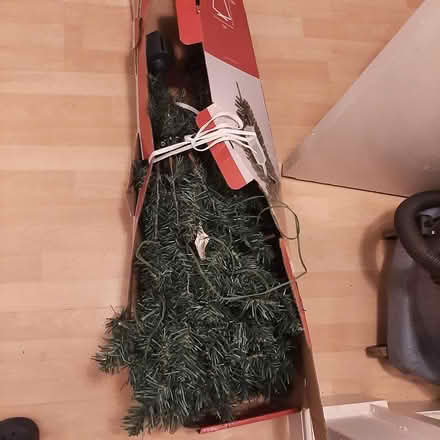 Photo of free Xmas tree (Worsborough S70) #1