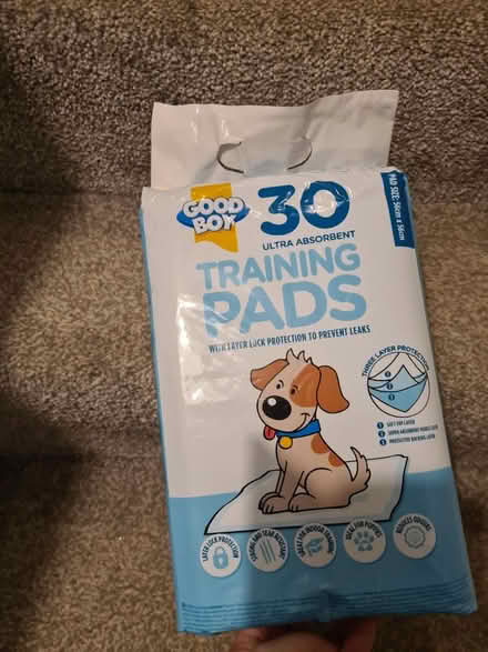 Photo of free Puppy training pads (De159su) #1
