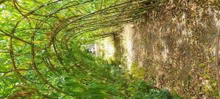 Photo of Bikes (Wollaston DY8) #1